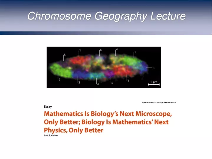 chromosome geography lecture