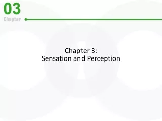 Chapter 3:   Sensation and Perception
