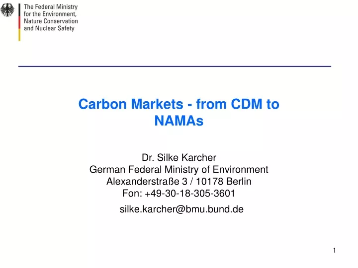 carbon markets from cdm to namas