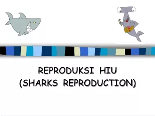 REPRODUKSI  HIU  (SHARKS  REPRODUCTION)