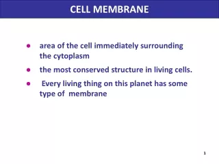 area of the cell immediately surrounding the cytoplasm