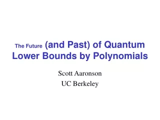 The Future  (and Past) of Quantum Lower Bounds by Polynomials