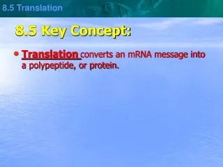 8.5 Key Concept: