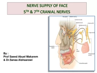 NERVE SUPPLY OF FACE  5 TH  &amp; 7 TH  CRANIAL NERVES