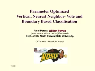 Parameter Optimized Vertical, Nearest Neighbor- Vote and  Boundary Based Classification