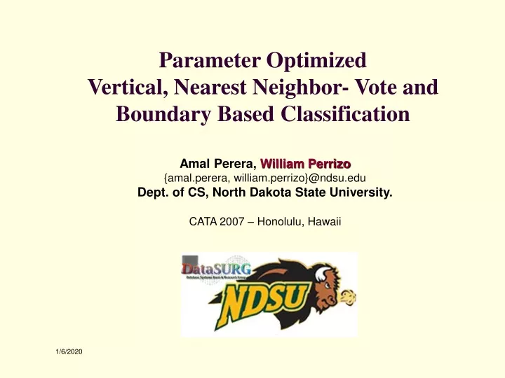 parameter optimized vertical nearest neighbor vote and boundary based classification