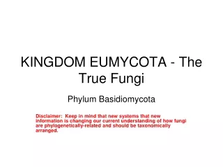 KINGDOM EUMYCOTA - The True Fungi