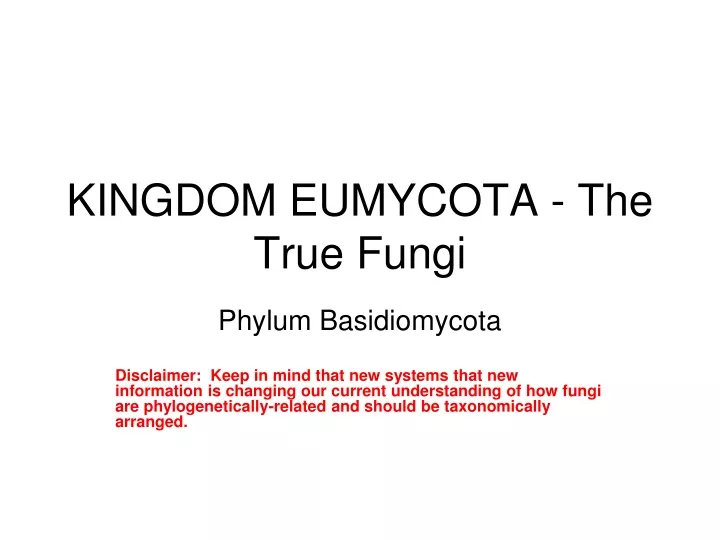 kingdom eumycota the true fungi
