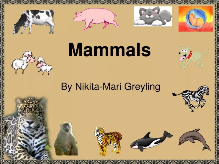 mammals