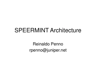 SPEERMINT Architecture