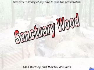Sanctuary Wood