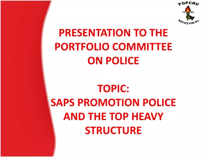 presentation to the portfolio committee on police