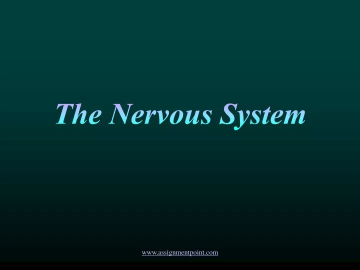 the nervous system