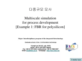 다중규모 모사 Multiscale simulation  for process development [Example 1: FBR for polysilicon]