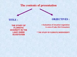 The contents of presentation