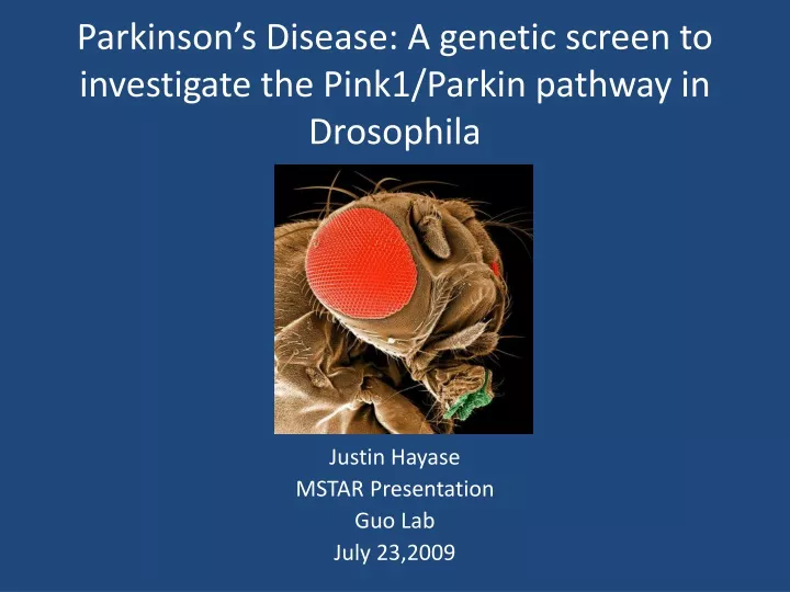 parkinson s disease a genetic screen to investigate the pink1 parkin pathway in drosophila