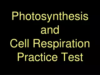 Photosynthesis  and  Cell Respiration Practice Test