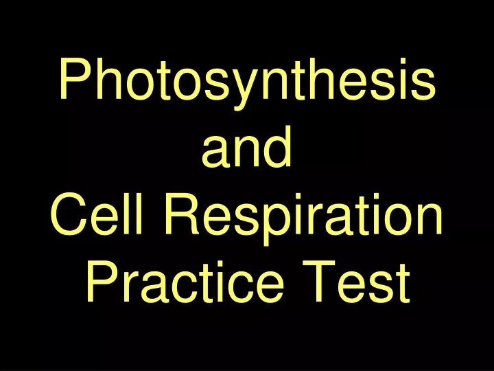photosynthesis and cell respiration practice test