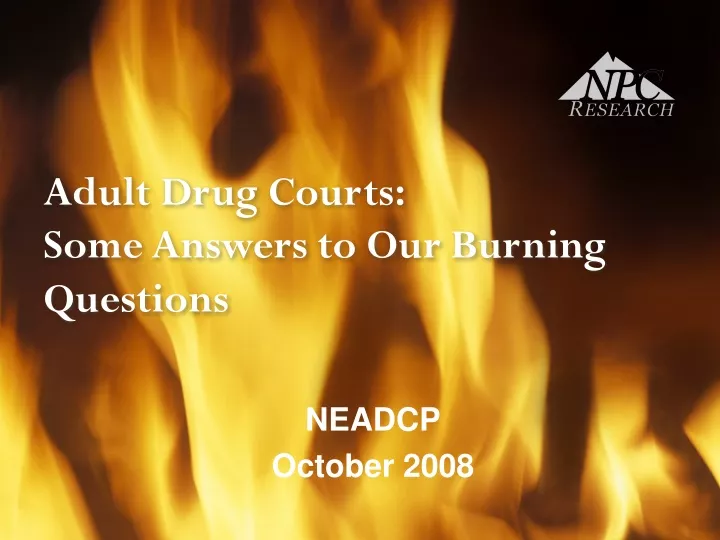 adult drug courts some answers to our burning questions