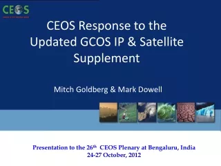 CEOS Response to the Updated GCOS IP &amp; Satellite Supplement