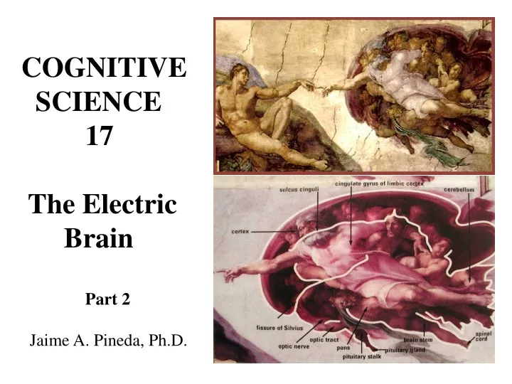 cognitive science 17 the electric brain part