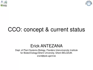 CCO: concept &amp; current status