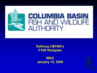 Defining CBFWA’s  FY09 Workplan  MAG January 15, 2009
