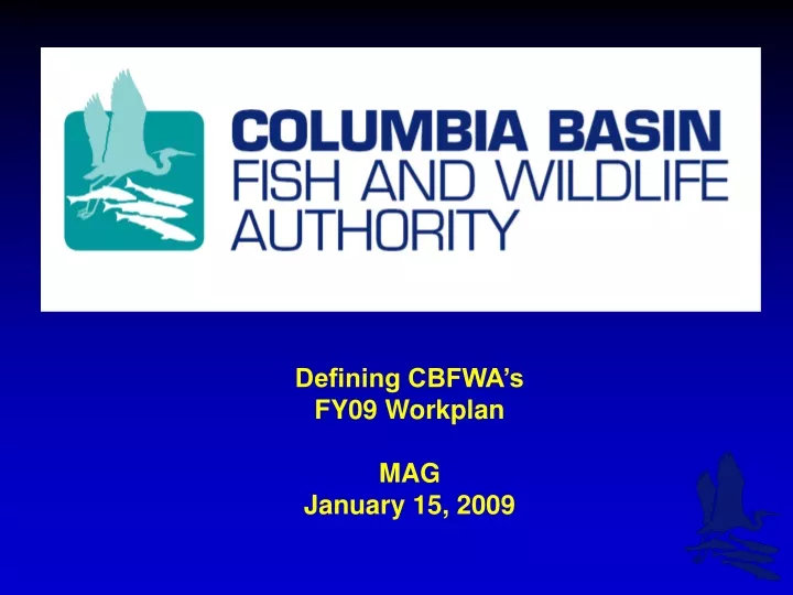 defining cbfwa s fy09 workplan mag january 15 2009