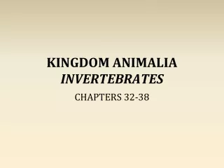 KINGDOM ANIMALIA INVERTEBRATES