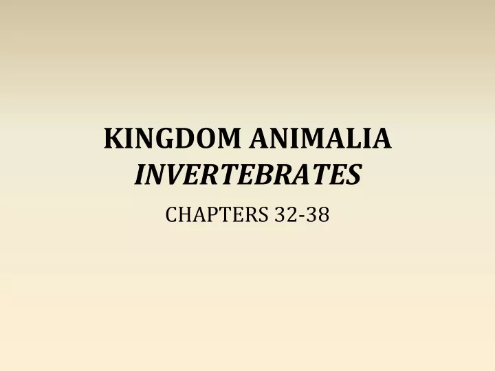 kingdom animalia invertebrates