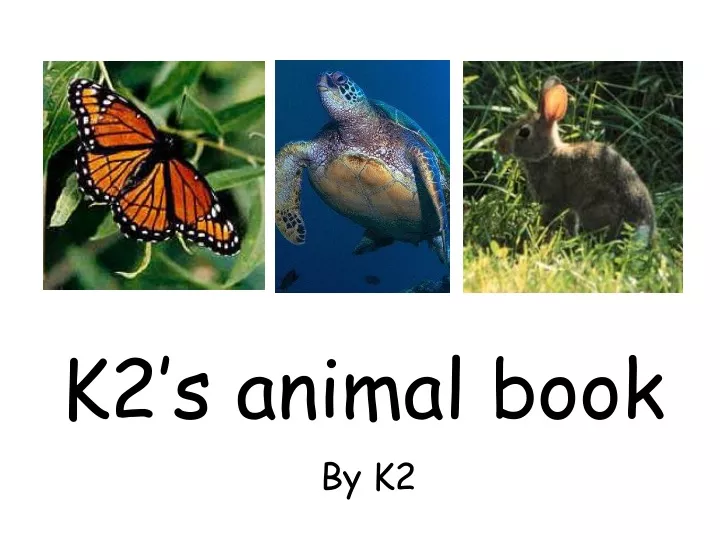 k2 s animal book