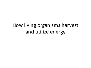 How living organisms harvest and utilize energy