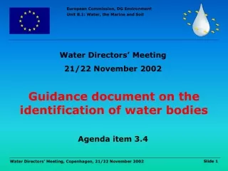 Guidance document on the identification of water bodies