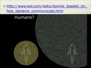 ted/talks/bonnie_bassler_on_how_bacteria_communicate.html