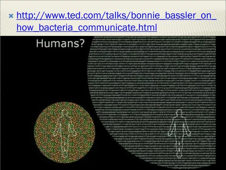 http www ted com talks bonnie bassler