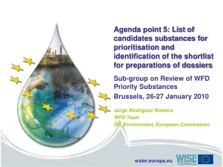 Sub-group on Review of WFD Priority Substances Brussels, 26-27 January 2010