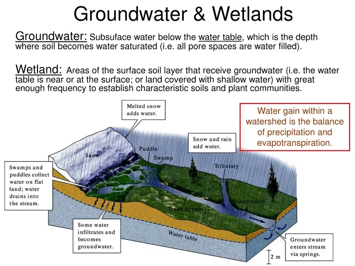 groundwater wetlands