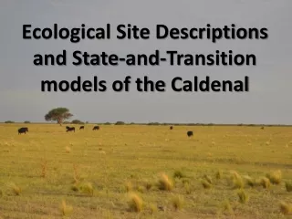 Ecological Site Descriptions and State-and-Transition models of the  Caldenal
