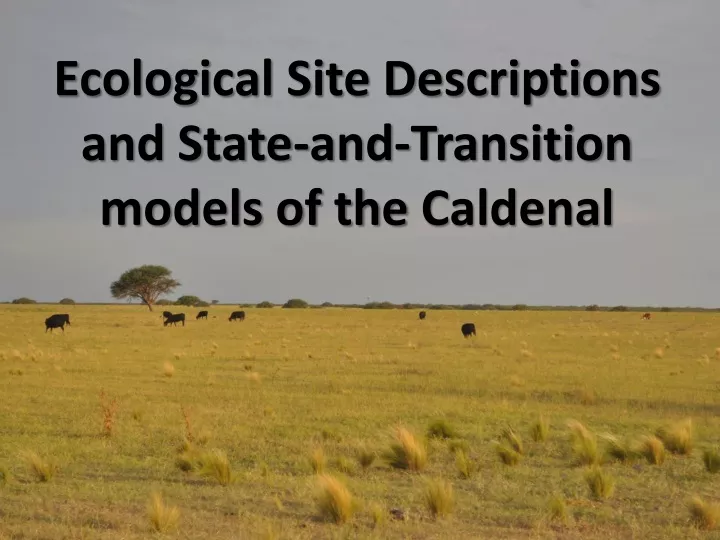 ecological site descriptions and state and transition models of the caldenal