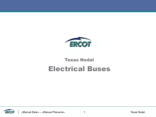 Texas Nodal Electrical Buses