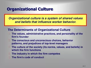 Organizational Culture