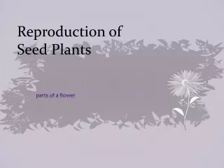 Reproduction of  Seed Plants