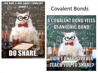 Covalent Bonds