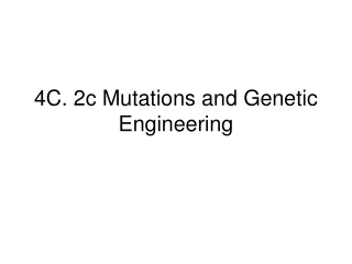 4C. 2c Mutations and Genetic Engineering