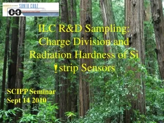 ILC R&amp;D Sampling: Charge Division and Radiation Hardness of Si  strip Sensors