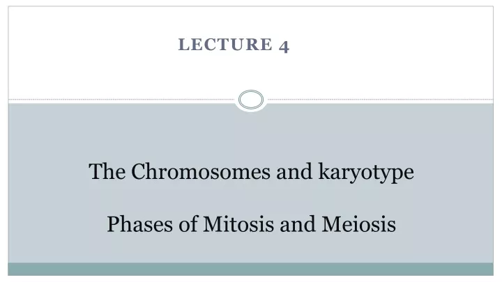 the chromosomes and karyotype phases of mitosis and meiosis