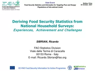 Deriving Food Security Statistics from  National Household Surveys: