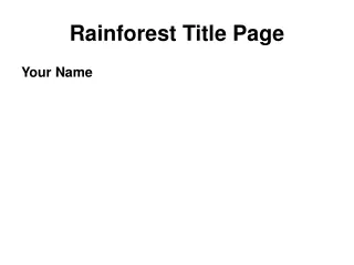 Rainforest Title Page