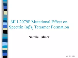 ?II L2079P Mutational Effect on Spectrin (??) 2  Tetramer Formation