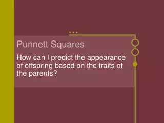 Punnett Squares